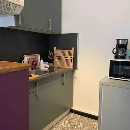 Apartment Lumineux Strasbourg